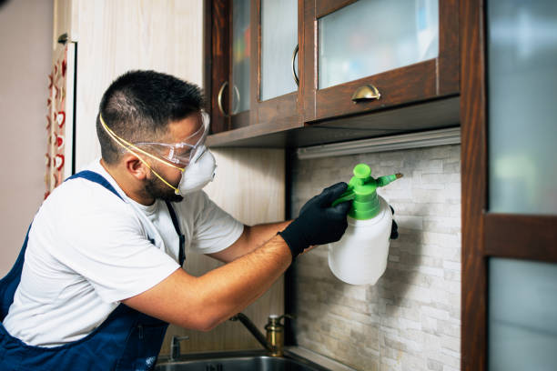 Professional Pest Control in Kershaw, SC