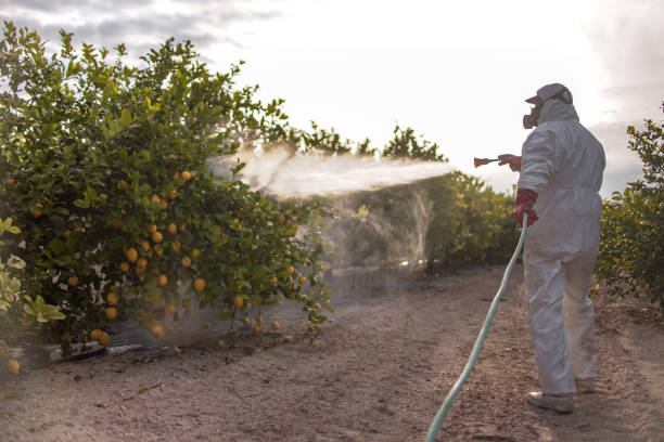 Best Termite Control Services  in Kershaw, SC