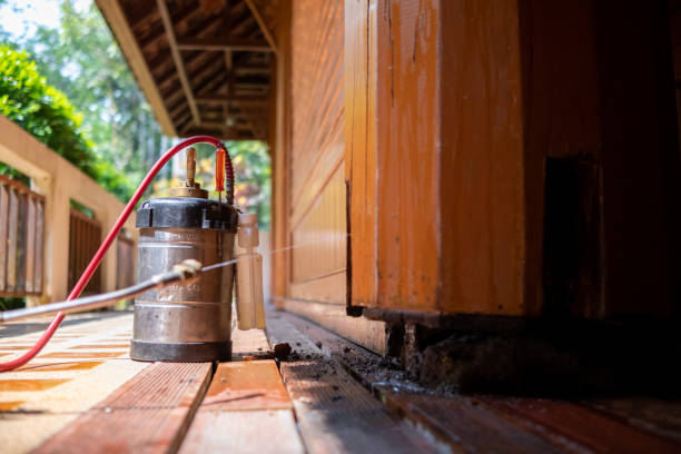 Best Pest Control Treatment  in Kershaw, SC