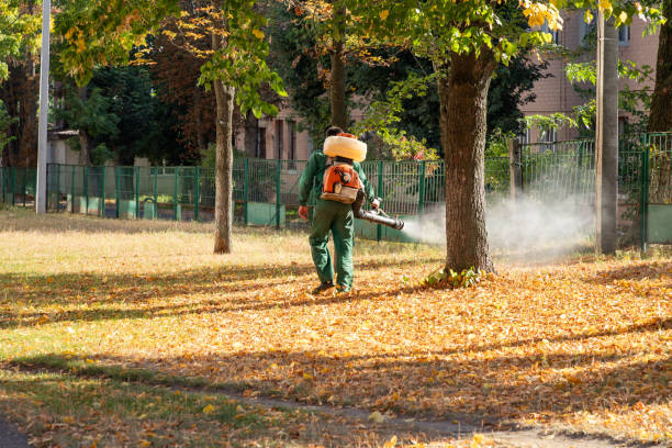 Best Affordable Pest Control Services  in Kershaw, SC