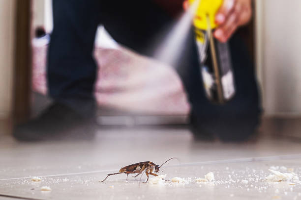Best Bed Bug Extermination  in Kershaw, SC