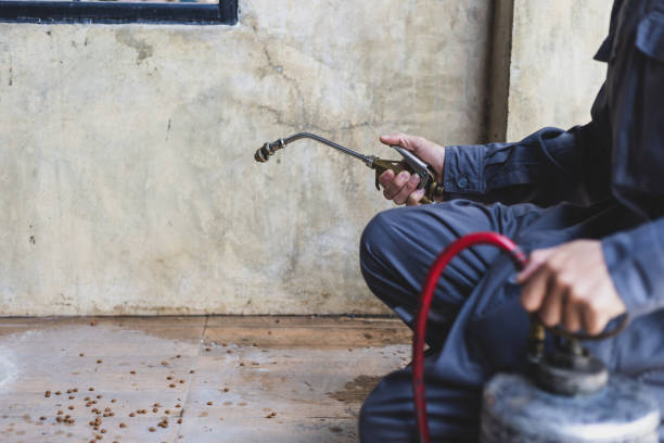 Best Pest Prevention Services  in Kershaw, SC