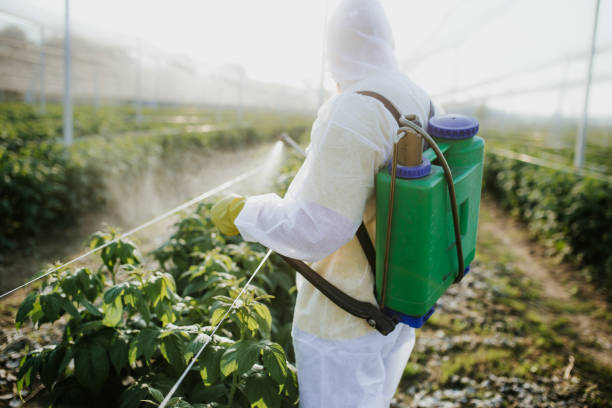 Best Emergency Pest Control  in Kershaw, SC